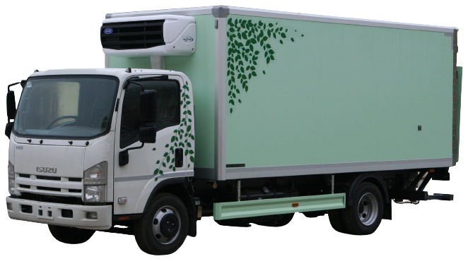 Ремонт Isuzu Elf